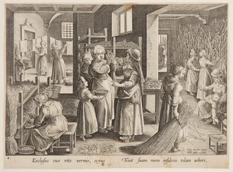 Moerbeibladeren voeren aan de zijderupsen