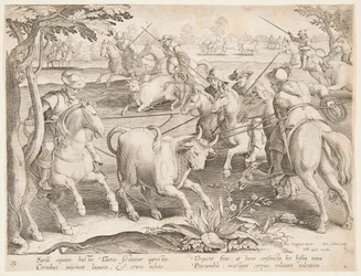 Vangen van wilde stieren