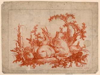Familie van konijnen