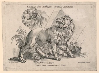 Studies van Leeuwen, Plaat 4 uit "Cahier des Desseins Diverses Animeaux"