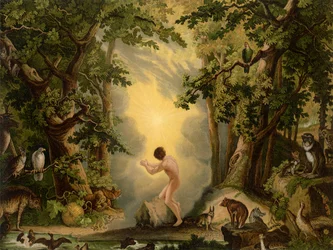 De Schepping van Adam