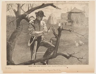 Lente Boerderijwerk – Enten