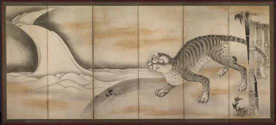 Tijger