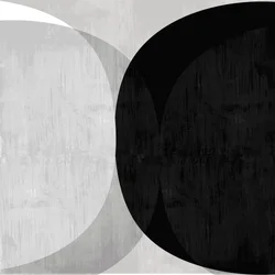 Abstracte zwart-witte krommen
