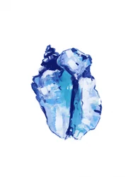 Abstracte blauwe schelp