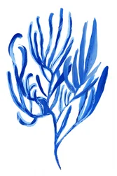 Abstract: Blauw koraal