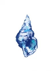 Abstracte blauwe schelp