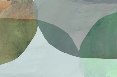 Abstracte natuurlijke vormen