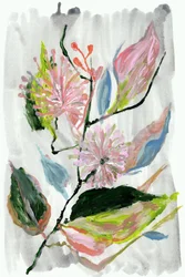 Abstracte roze bloesems