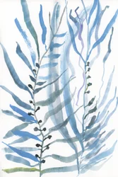 Abstracte zeewierplanten