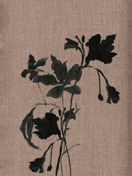 Zwart botanisch silhouet