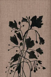 Zwarte botanische silhouetten