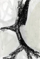 Gedurfd, monochroom en abstract