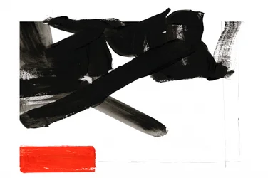 Gedurfd rood-zwart contrast
