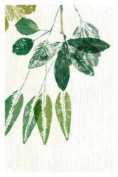 Botanische groene bladeren