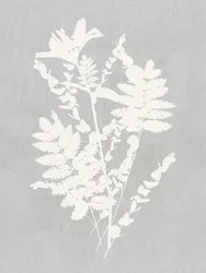 Studie naar botanische silhouetten