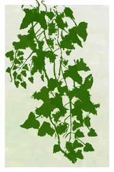 Trapvormig groen