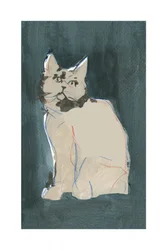De nieuwsgierige blik van een kat