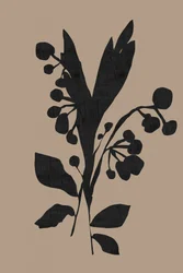 Donker botanisch silhouet
