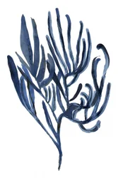 Diepblauwe zeeflora
