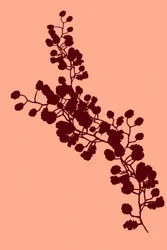 Elegant bloemensilhouet