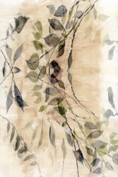 Etherische botanische stroming