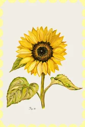 Golden Sunflower Botanical