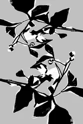 Grafisch botanisch patroon