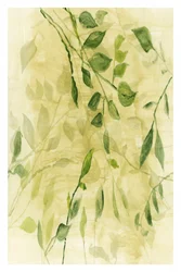 Groene botanische lagen