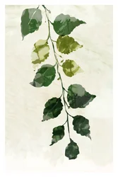 Groen Goud 3