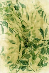 Groene bladeren in aquarel