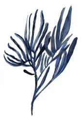 Indigo Botanische takken