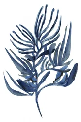 Indigo: een botanische studie