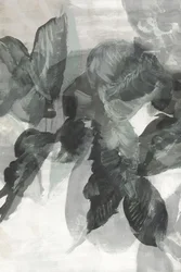 Monochroom botanisch patroon