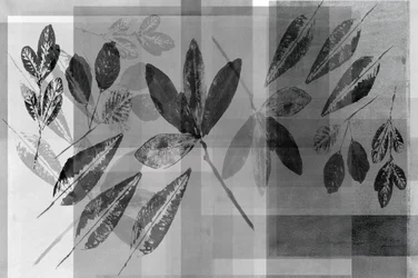 Monochrome botanische lagen