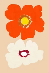 Oranje en witte bloemen