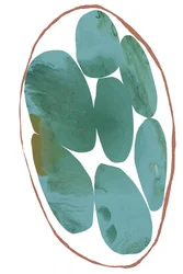 Biologische blauwgroene edelstenen