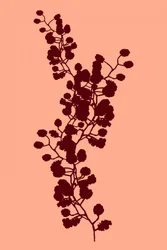 Botanisch silhouet van een perzik