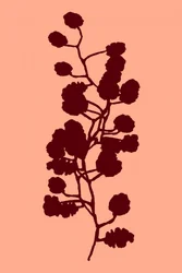Botanisch silhouet van een perzik