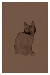 Rustige bruine kat