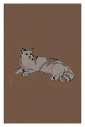 Ontspannen grijze kat