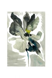 Rustige bloem in aquarel