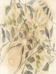 Zachte botanische bladeren