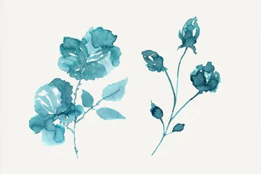 Teal-kleurige aquarelrozen