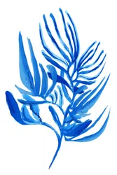 Tropisch blauw blad
