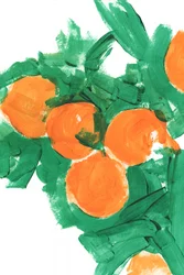 Een kleurrijke citrusoogst