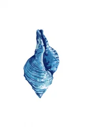 Aquarel Blauwe Schelp
