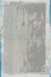 Verweerd blauwgrijs