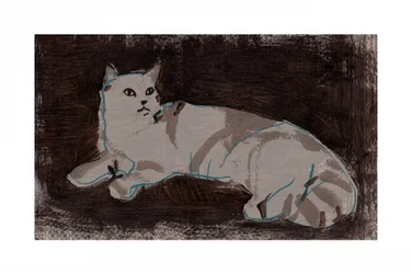 Rustende witte kat