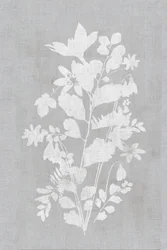 Wit bloemensilhouet